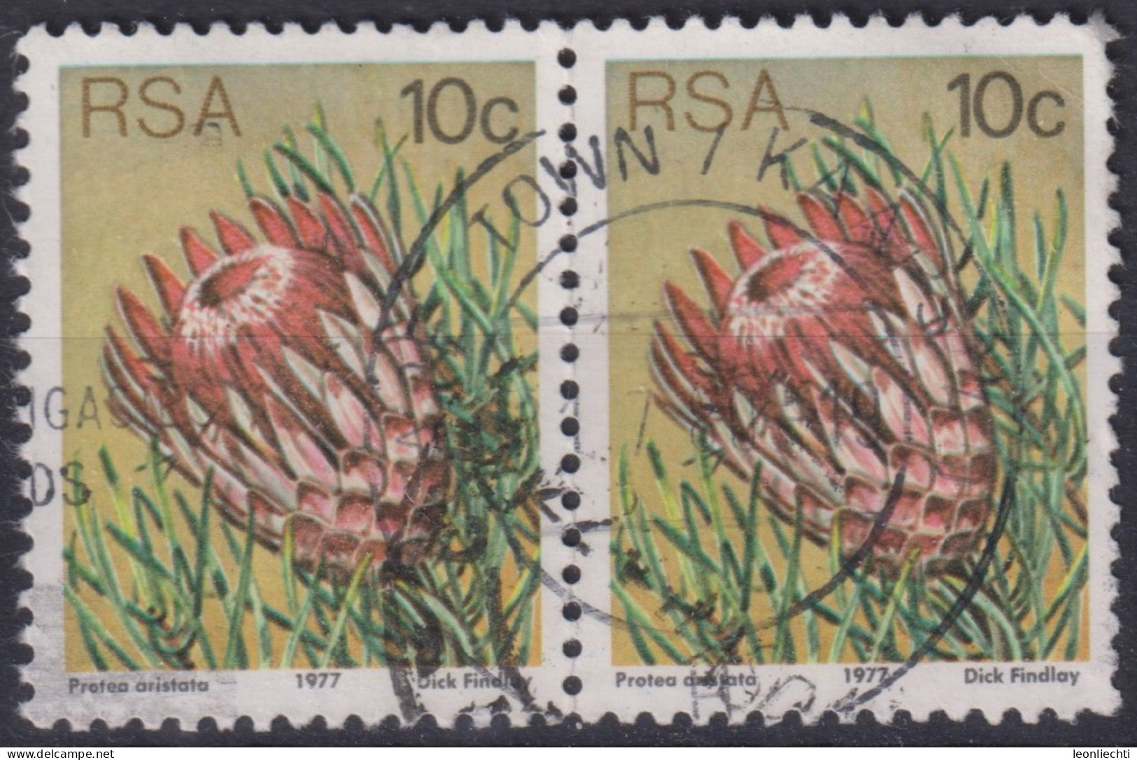 1977 RSA, Mi:ZA 521A, Sn:ZA 484, Yt:ZA 425, Ladismith Sugarbush (Protea Aristata) - Used Stamps