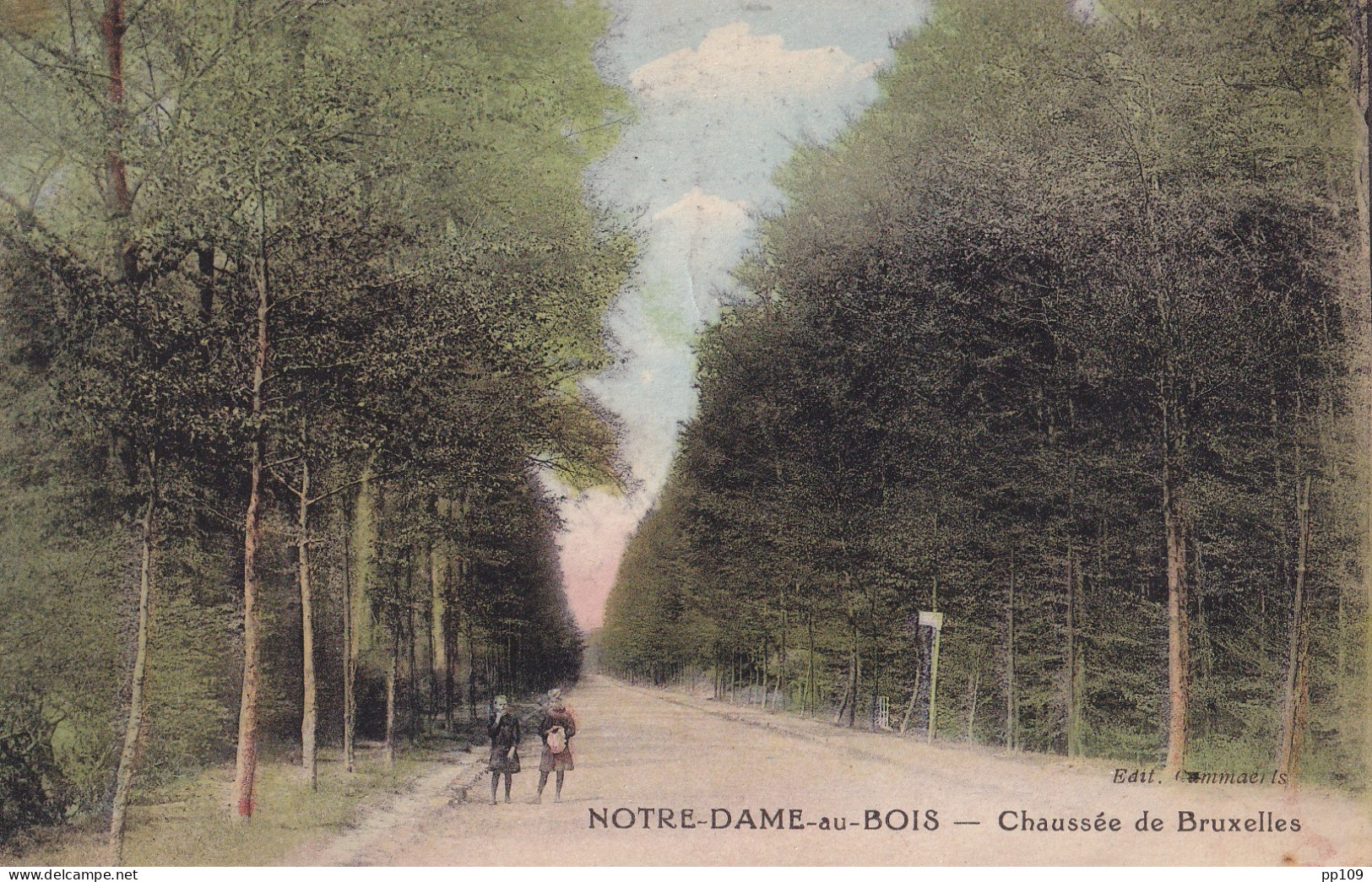  CP NOTRE DAME AU BOIS Chaussée De Bruxelles  Colorisée - Overijse