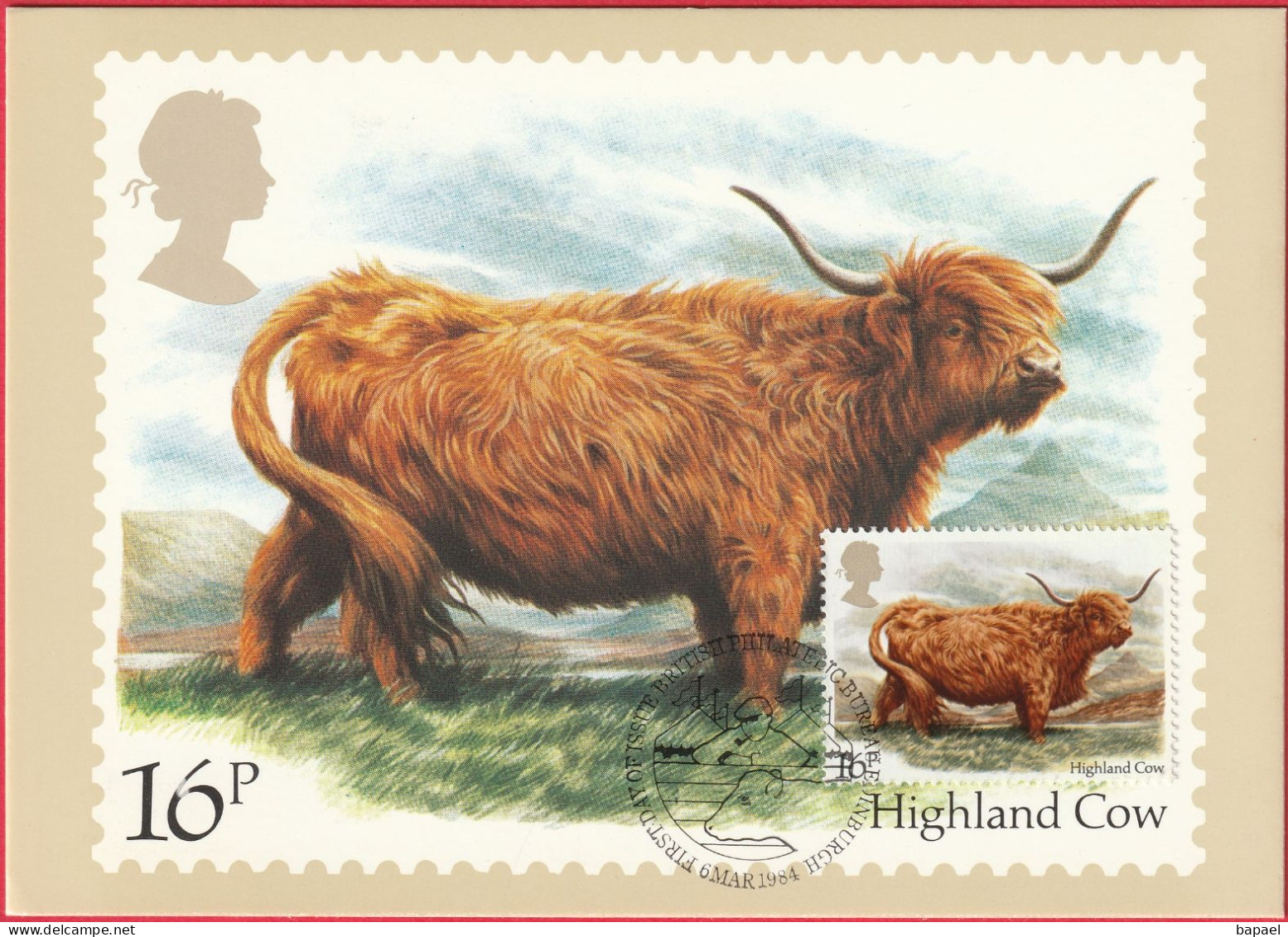 Carte Maximum (FDC) - Royaume-Uni (Écosse-Édimbourg) (6-3-1984) - Vache Des Highlands (Recto-Verso) - Maximum Cards