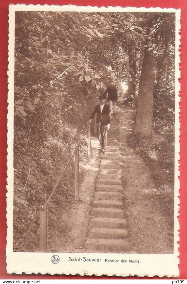 CP Ancienne SAINT SAUVEUR  Escalier Des Monts - Frasnes-lez-Anvaing