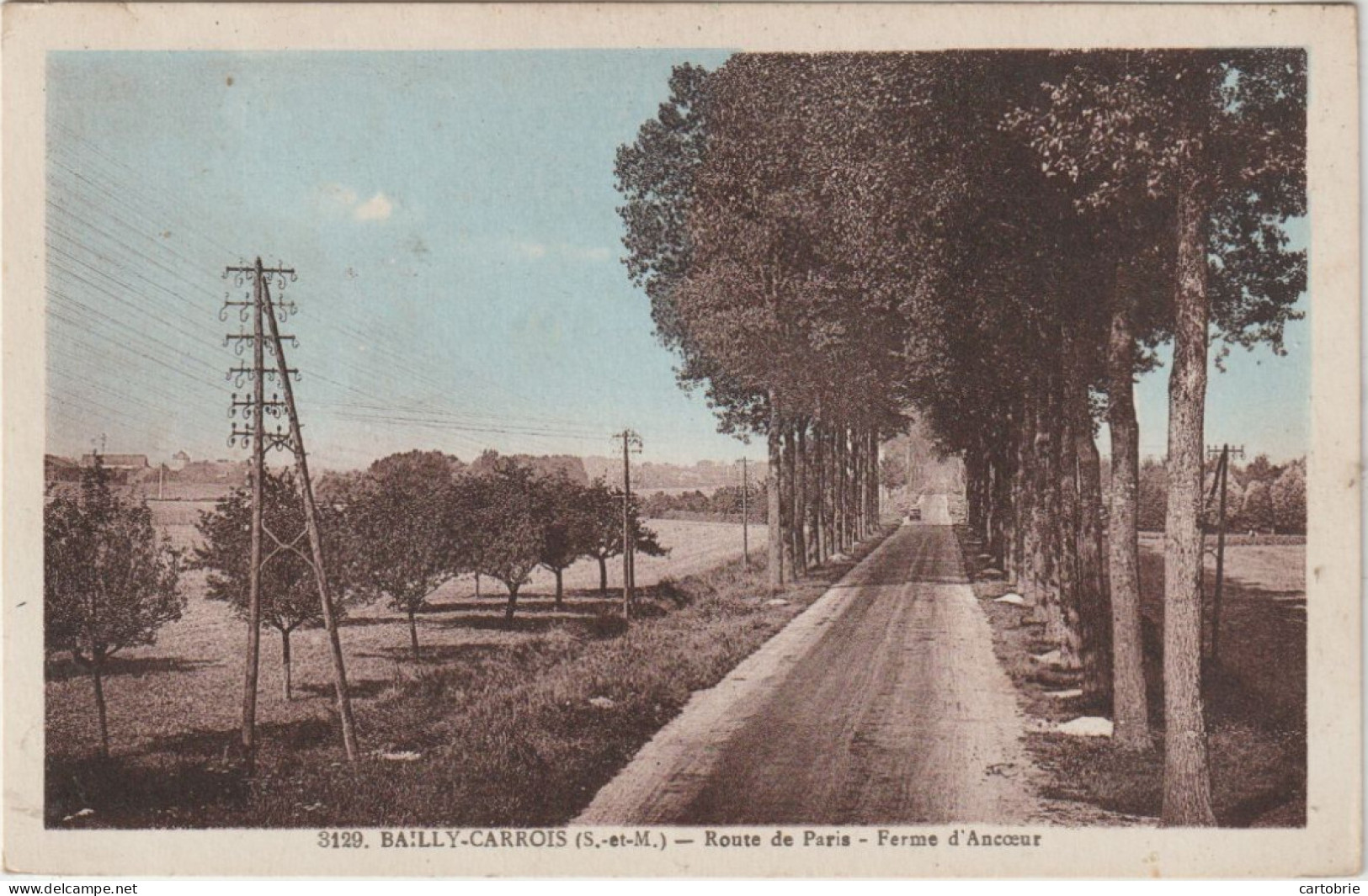 Dépt 77 - BAILLY-CARROIS - Route De Paris - Ferme D'Ancoeur - Baillycarrois