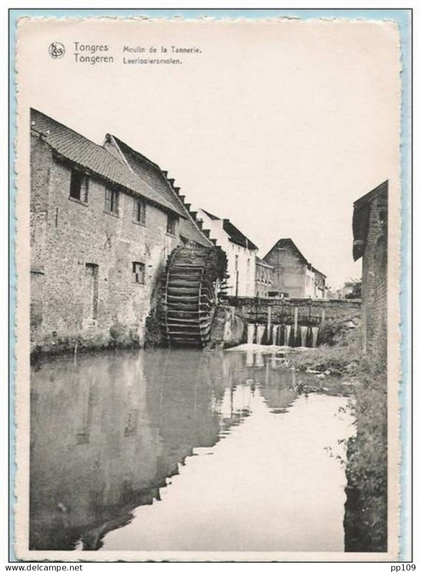 TONGEREN Leerlooiersmolen Molen Leer - TONGRES Moulin De La Tannerie  Cuir NELS - Tongeren