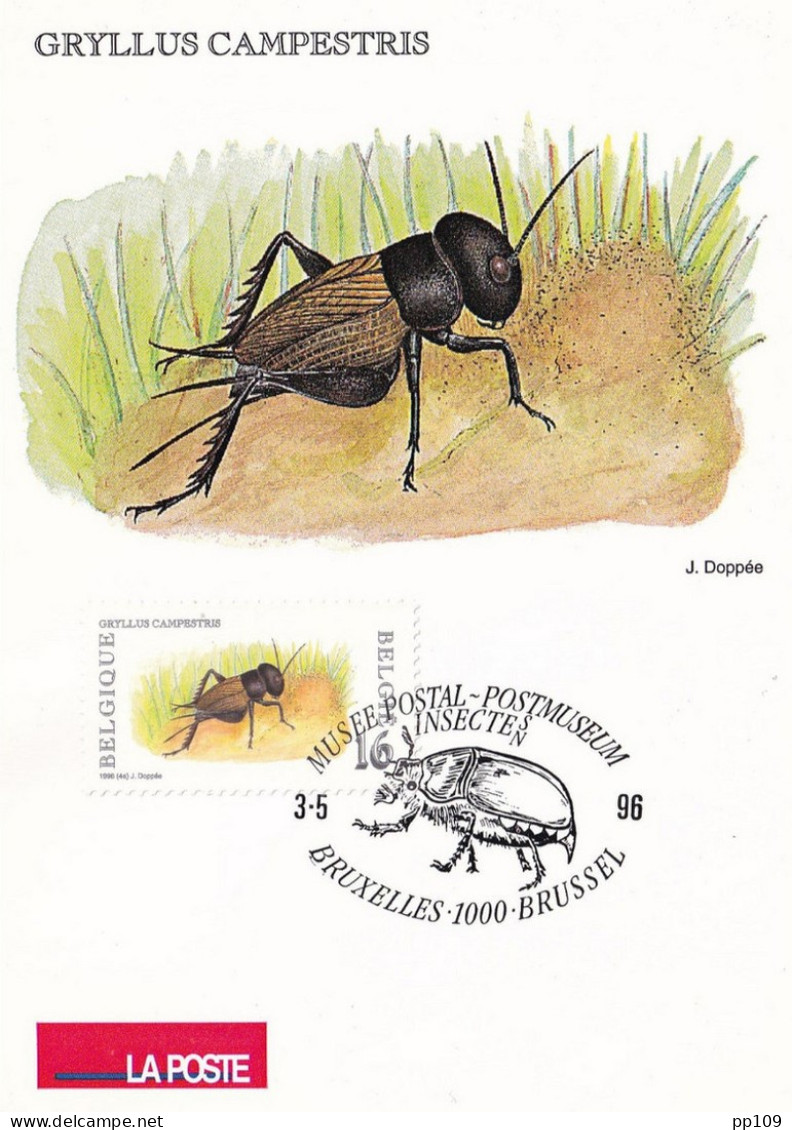 CPM  LA POSTE - TP 2634  Obl Musée Postal Bruxelles  3 V 1996  Nature Insecte Grillon Champêtre - 1991-2000