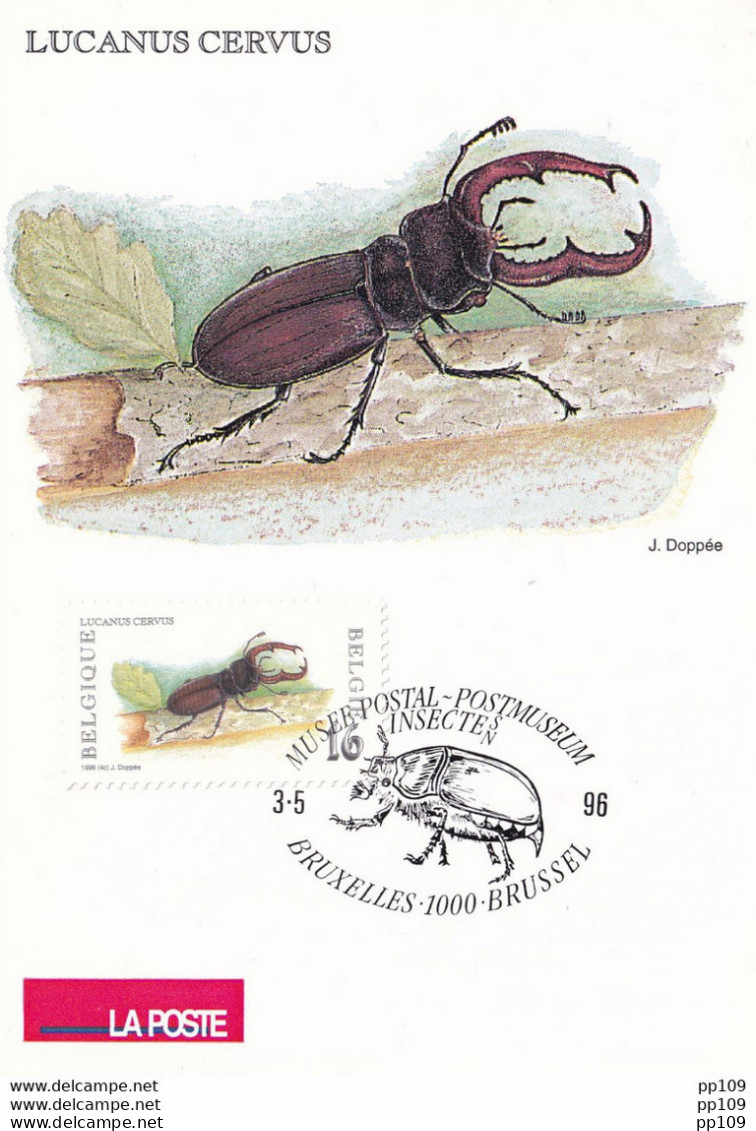 CPM  LA POSTE - TP 2632  Obl  Musée Postal Bruxelles 3 V 1996  Nature Insecte Lucane Cerf-volant - 1991-2000