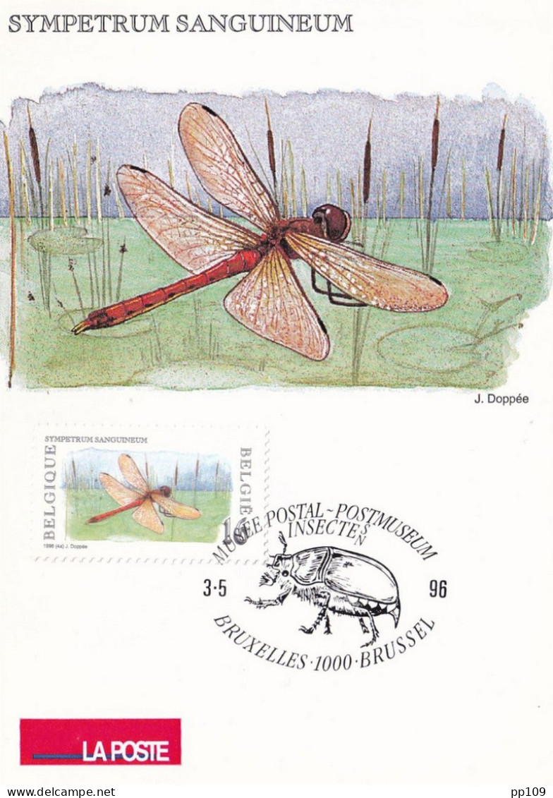 CPM  LA POSTE - TP 2630  Obl  Musée Postal Bruxelles  3 V 1996  Nature Insecte Sympêtre Rouge Sang Ou Libellule - 1991-2000