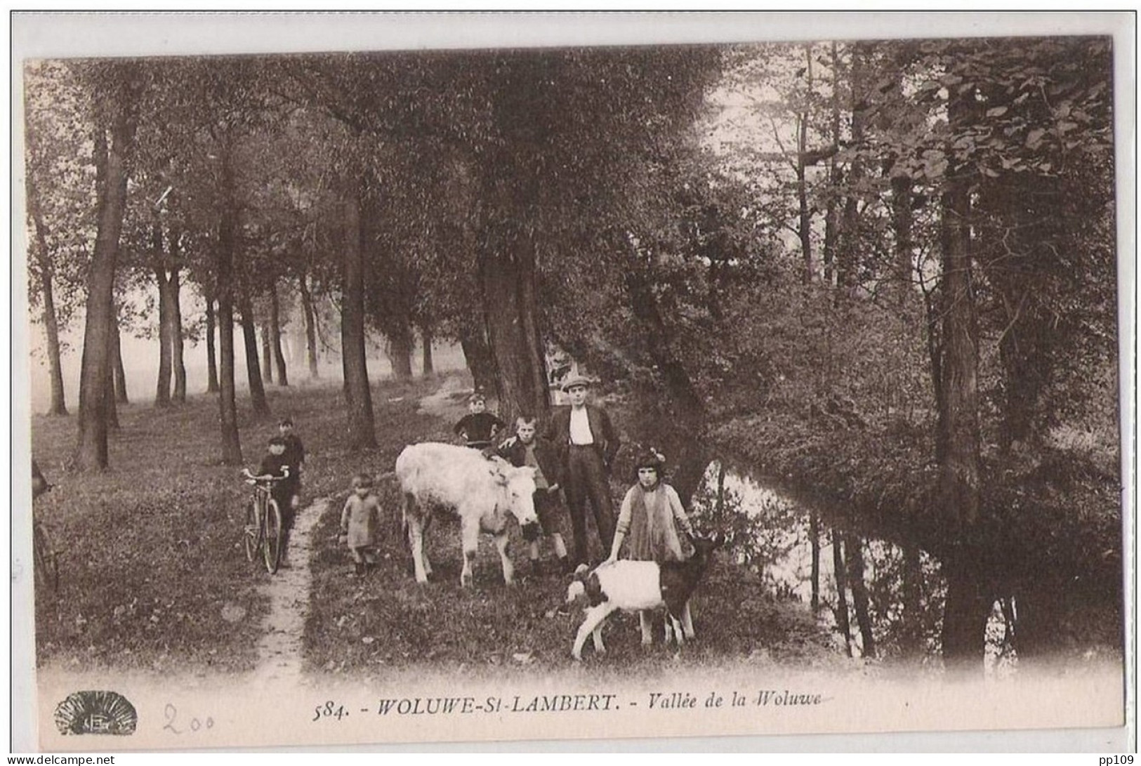 CP Neuve WOLUWE SAINT LAMBERT Vallé De La Woluwe  - Bel état - St-Lambrechts-Woluwe - Woluwe-St-Lambert