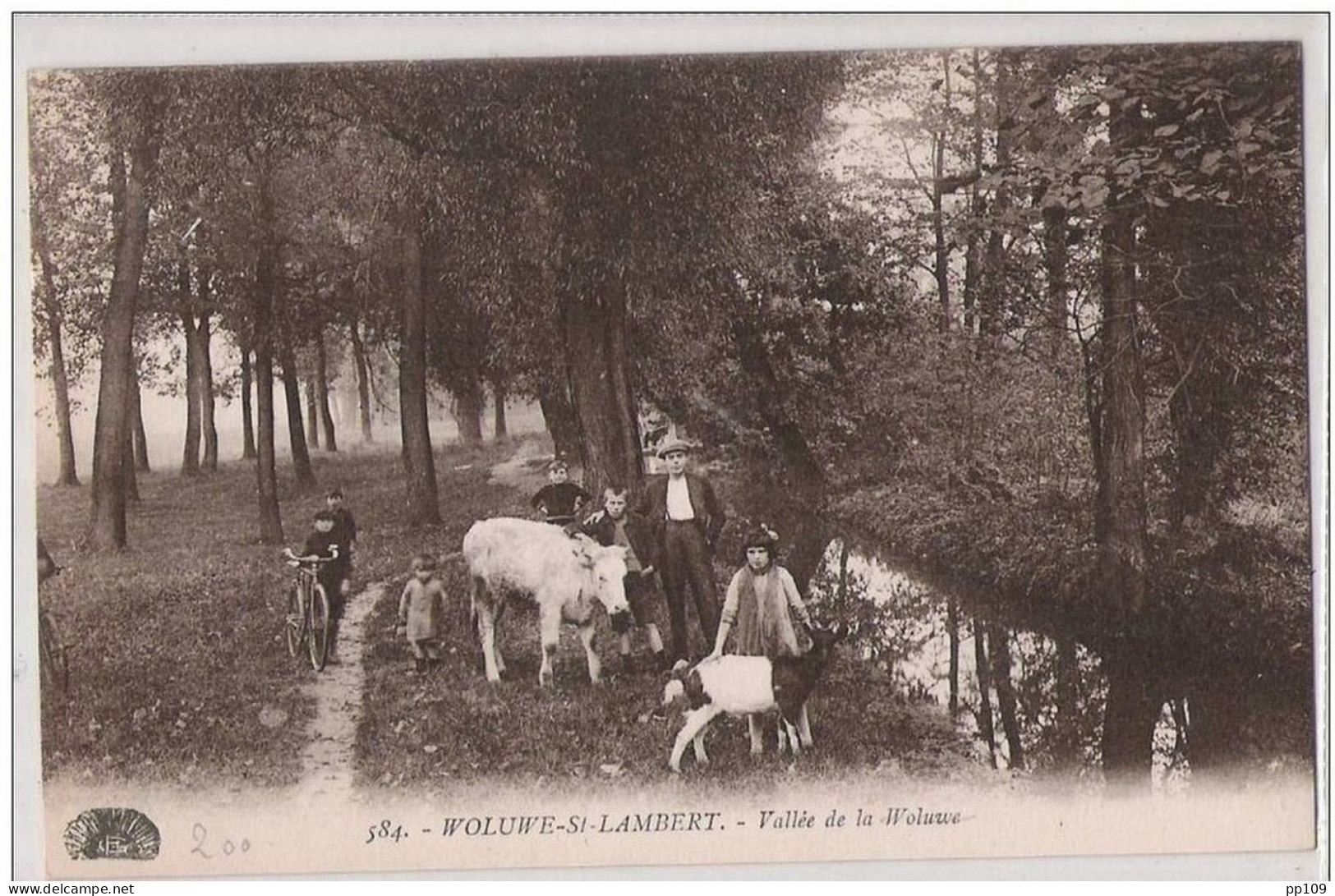 CP Neuve WOLUWE SAINT LAMBERT Vallé De La Woluwe  - Bel état - Woluwe-St-Lambert - St-Lambrechts-Woluwe