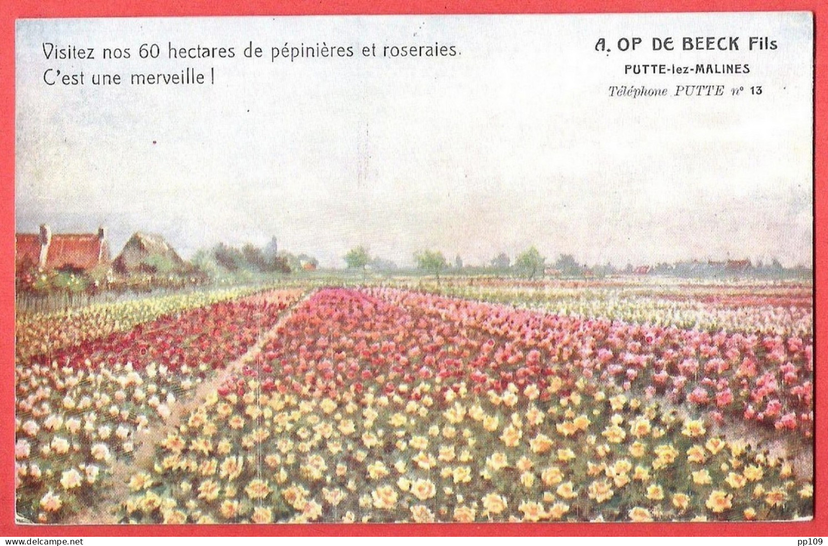 CP PUTTE LEZ MALINES A. OP DE BEEK Visitez Nos 60 Ha De Pépinières Et Roseraies - Carte Pub Rare - Putte