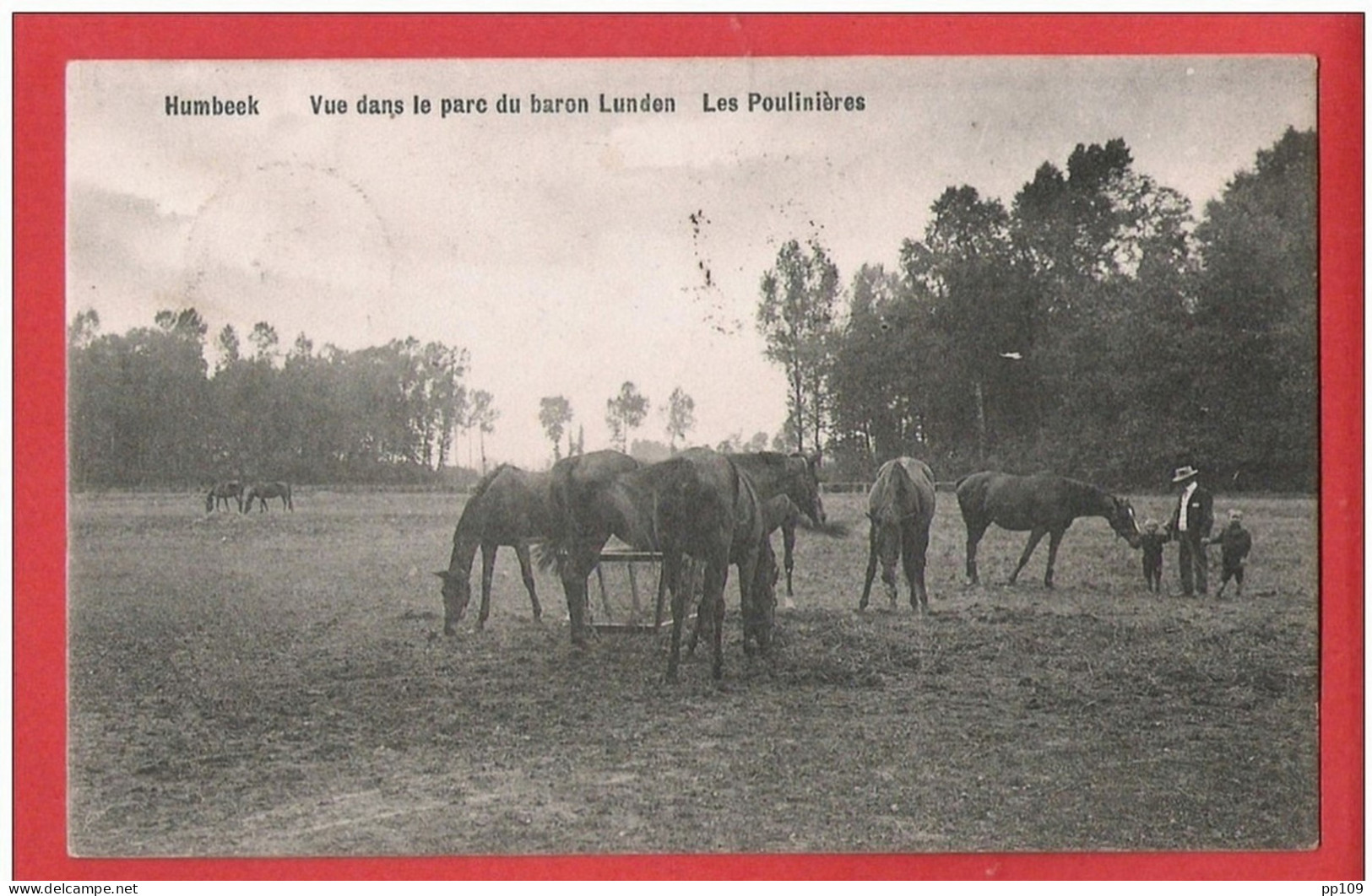 CP GRIMBERGEN HUMBEEK Obl étoiles 1908  Vue Dans Le Parc Du Baron Lunden Les Poulinières - Grimbergen