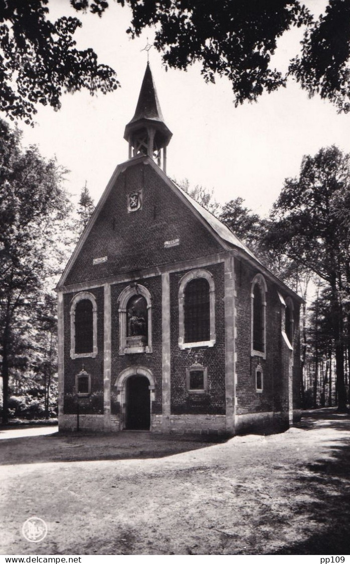 CP BUGGENHOUT  Boskapel  Uitgever E.Bracke - Buggenhout