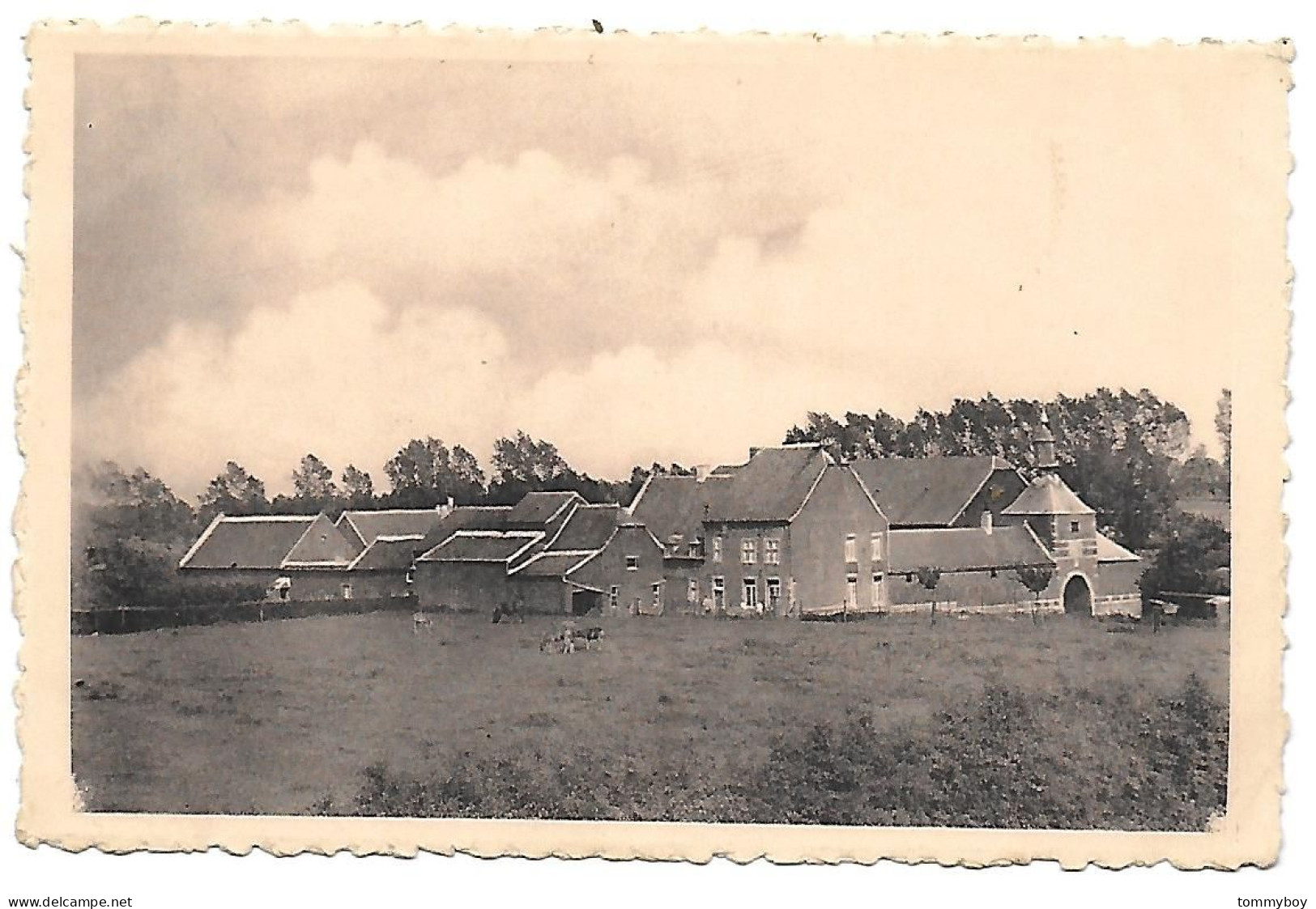 CPA Perwez, Ferme D' Alvaux De M. Leurquin - Perwez