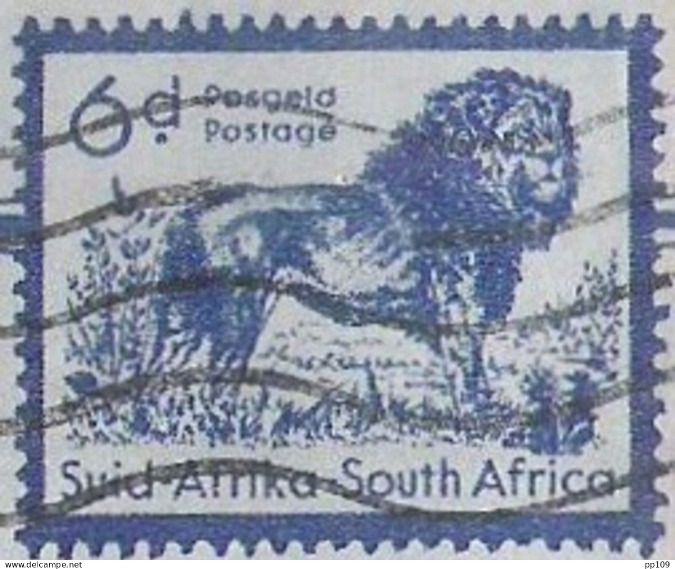 AIR LETTER LUGBRIEF AEROGRAMME Par Avion By Air Mail SUID AFRIKA Afrique Du Sud SOuth Africa LION LEEUW  11 V 1960 - Poste Aérienne