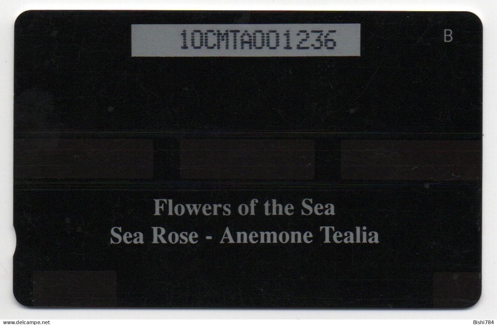 Montserrat - Flowers Of The Sea (Sea Rose) - 10CMTA - Montserrat