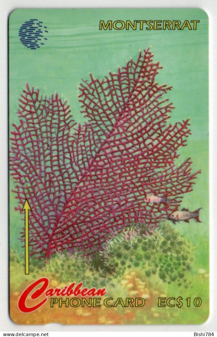 Montserrat - Flowers Of The Sea (Sea Fan) - 10CMTD - Montserrat