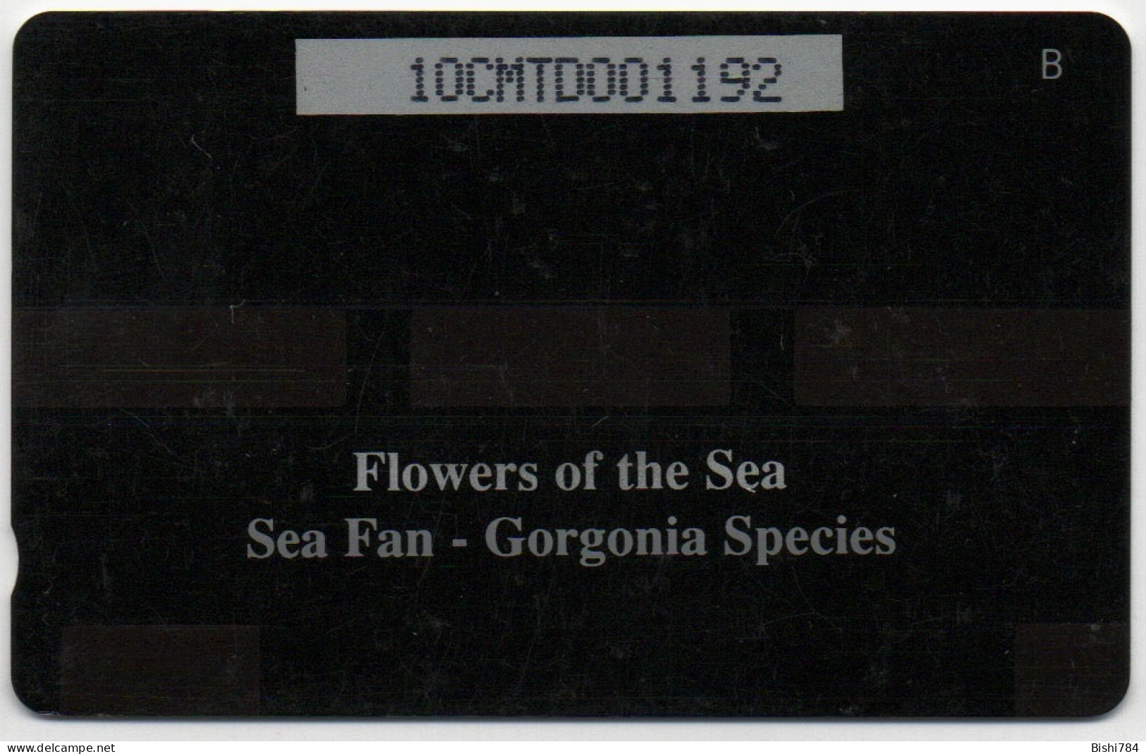 Montserrat - Flowers Of The Sea (Sea Fan) - 10CMTD - Montserrat