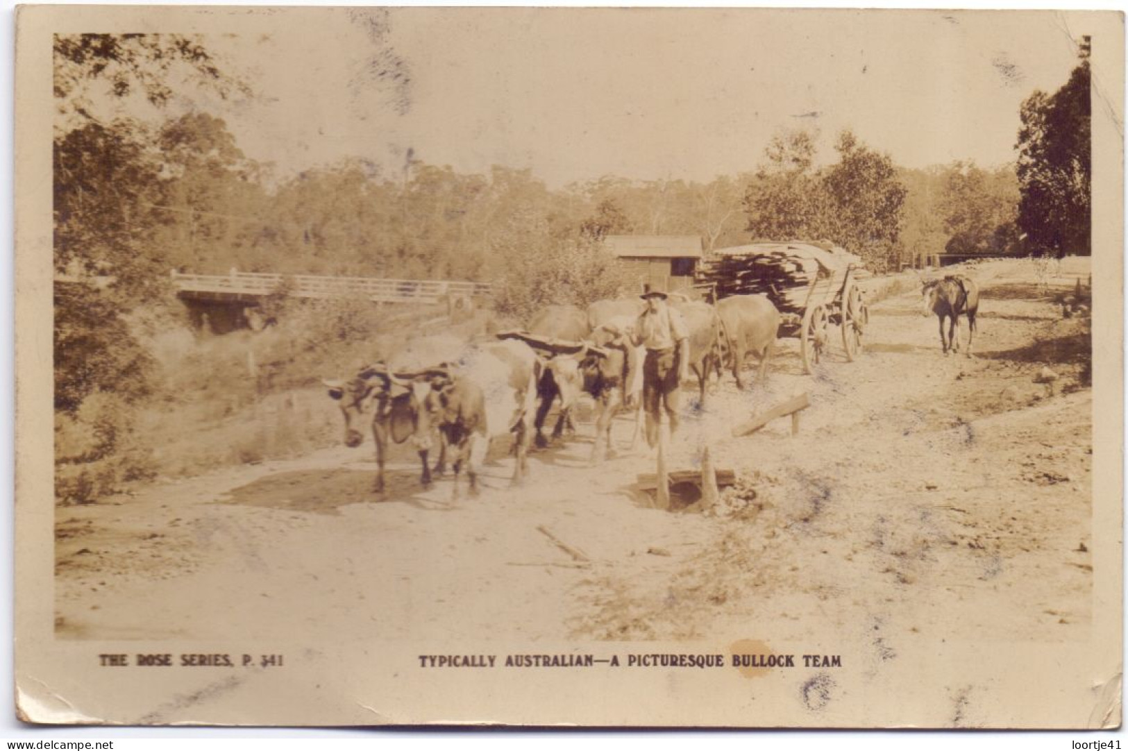 PC - Australia Australie - A Bullock Team - 1927 - Outback