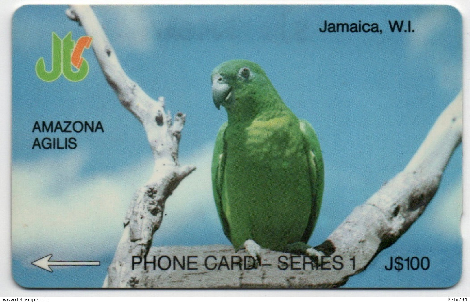 Jamaica - AMAZONA AGILIS - 8JAMA - Jamaica