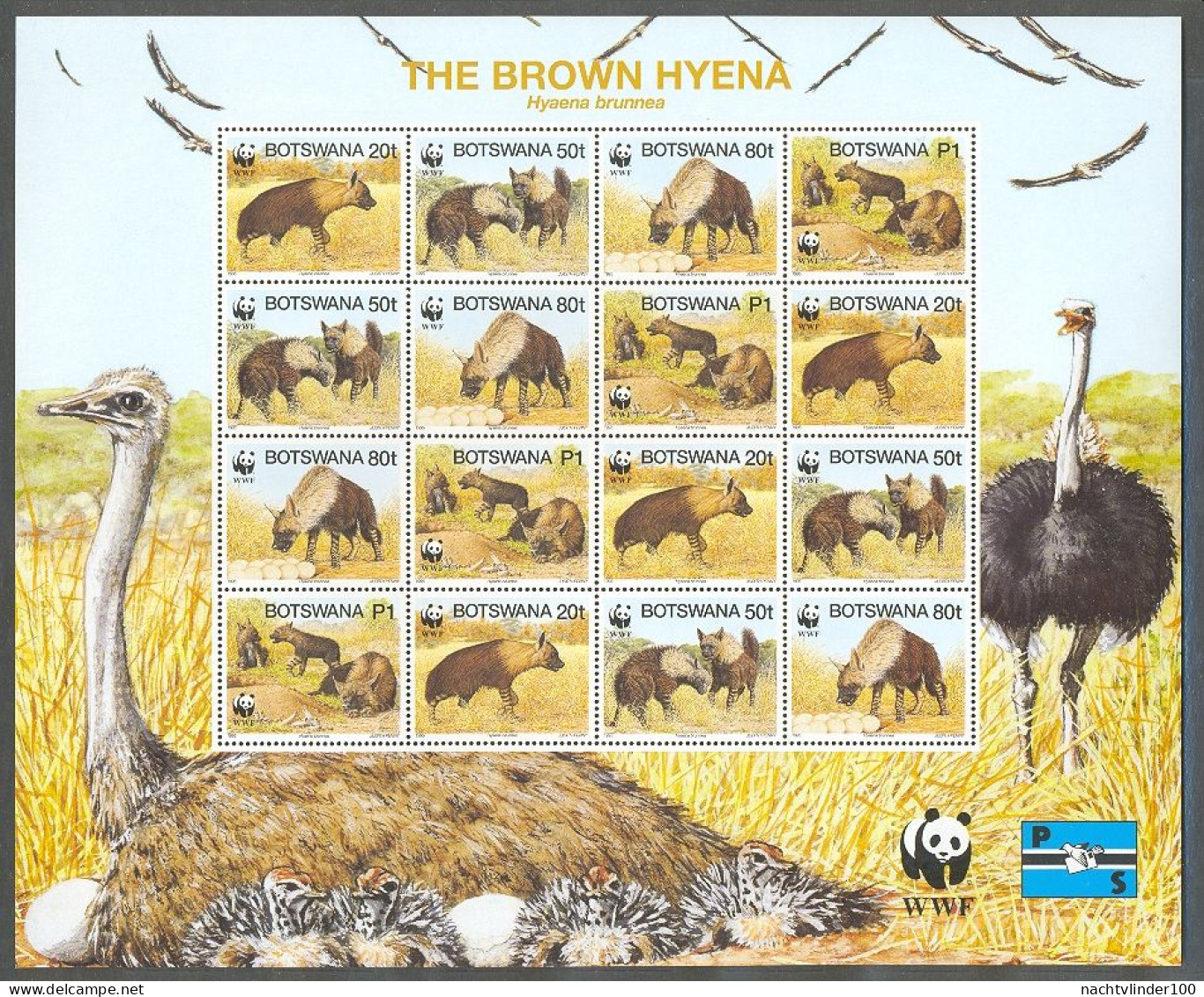 Ngb190MSc WWF FAUNA ZOOGDIEREN HOND HYENA VOGELS STRUISVOGEL BIRDS OSTRICH DOGS MAMMALS BOTSWANA 1995 PF/MNH # - Ostriches