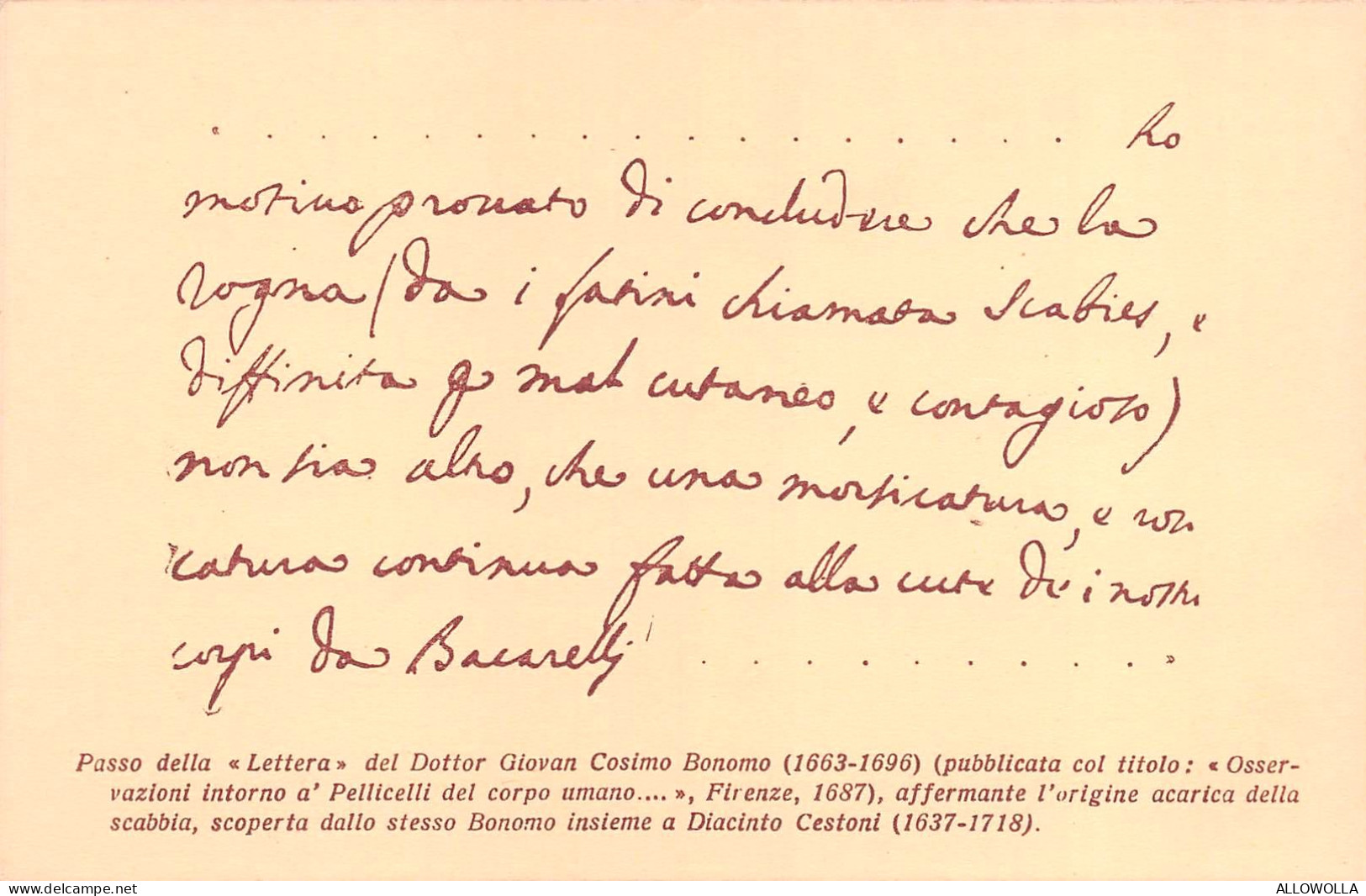 20604 " PASSO DELLA LETTERA DEL DOTT. C. BONOMO SULL'ORIGINE ACCARICA DELLA SCABBIA-FIRENZE 1887 "-CART.POST.NON SPED. - Santé