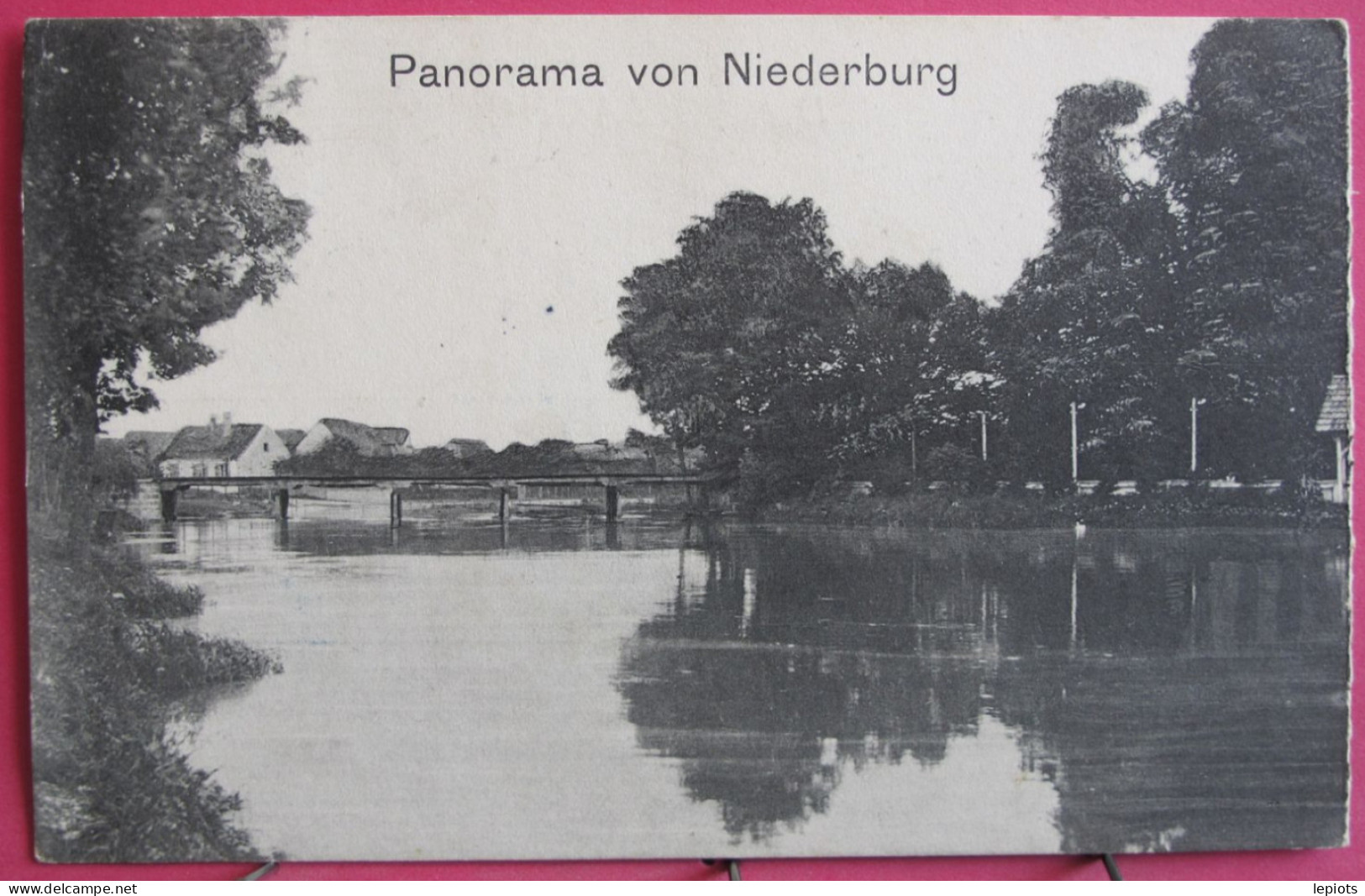 Visuel Très Peu Courant - Allemagne - Panorama Von Niederburg - Rhein-Hunsrueck-Kreis