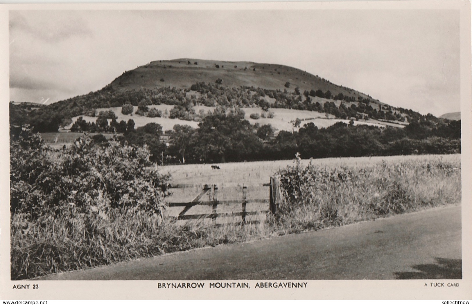 BRYNARROW MOUNTAIN - ABERGAVENNY - Monmouthshire