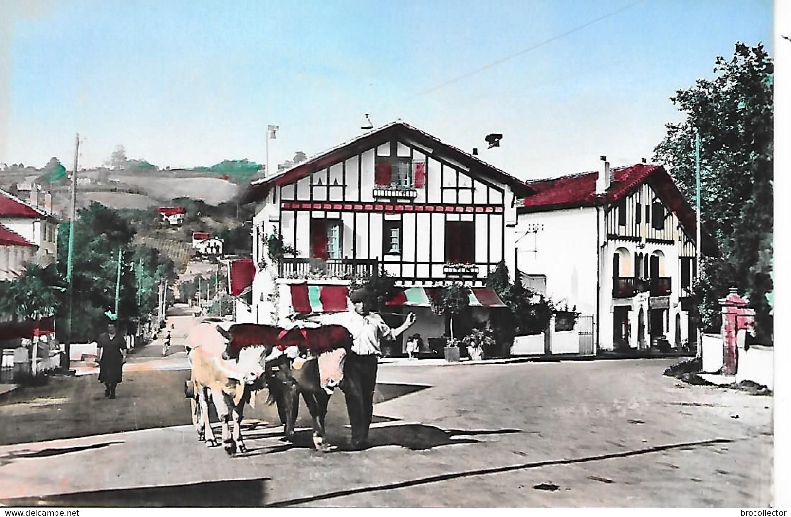 HASPARREN ( 64 ) - Route De Batonne à St Jean Pieds De Port  ( C.P.S.M. , Pt - Ft ) - Hasparren