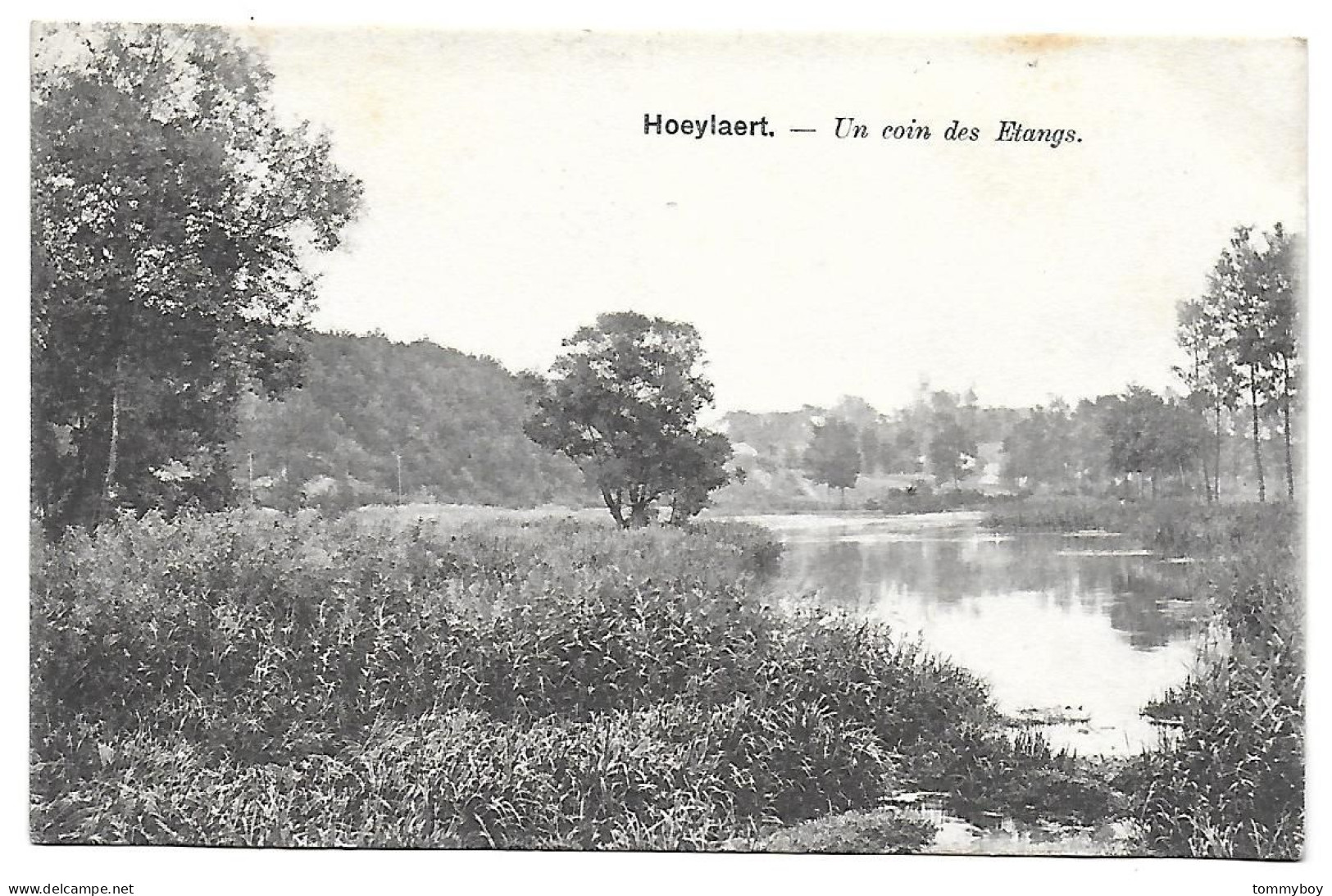 CPA Hoeilaart, Un Coin Des Etangs - Hoeilaart