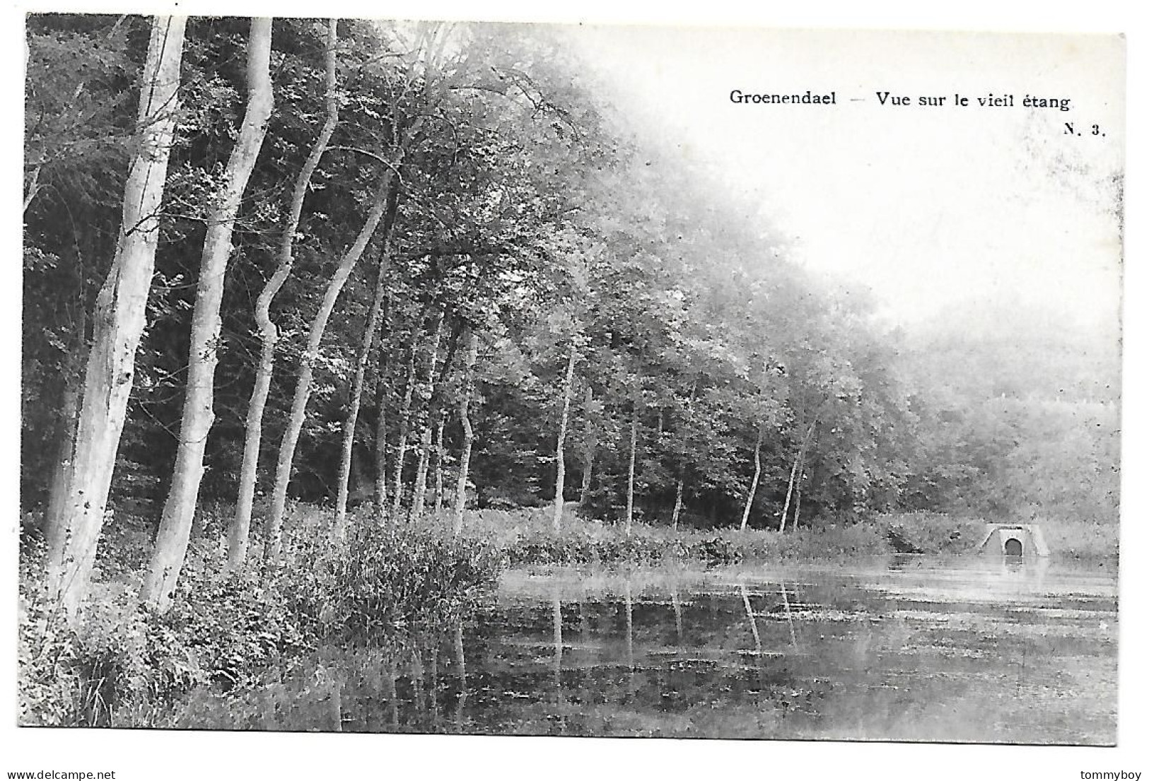 CPA Groenendael, Vue Sur Le Vieil étang - Hoeilaart