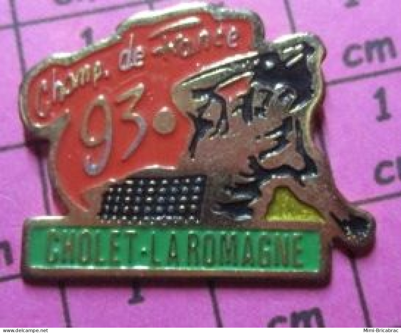 311a Pin's Pins / Beau Et Rare / SPORTS / TENNIS DE TABLE PING PONG CHAMPIONNAT DE FRANCE 93 CHOLET LA ROMAGNE - Tischtennis