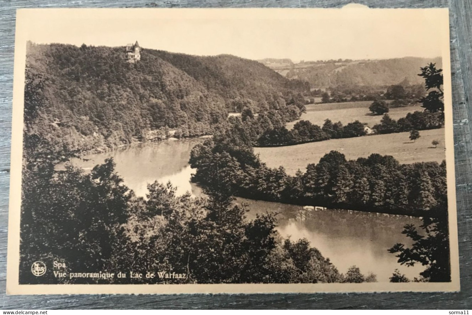 CPA SPA (Belgique) Vue Panoramique Du Lac De Warfaaz - Spa