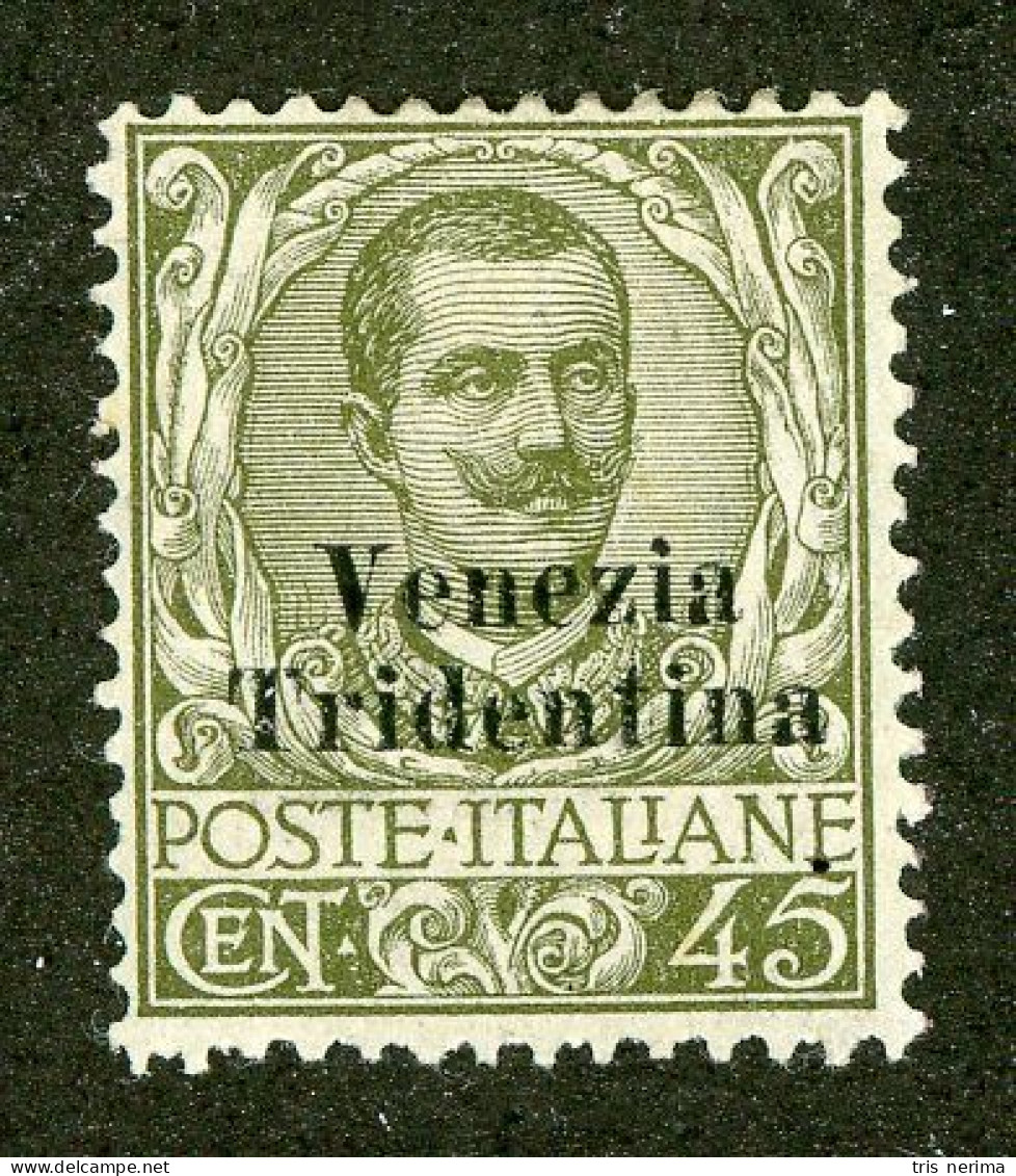 1099 Ax Italy Occ. 1918 Scott N58 Mint* (Lower Bids 20% Off) - Occupazione Austriaca