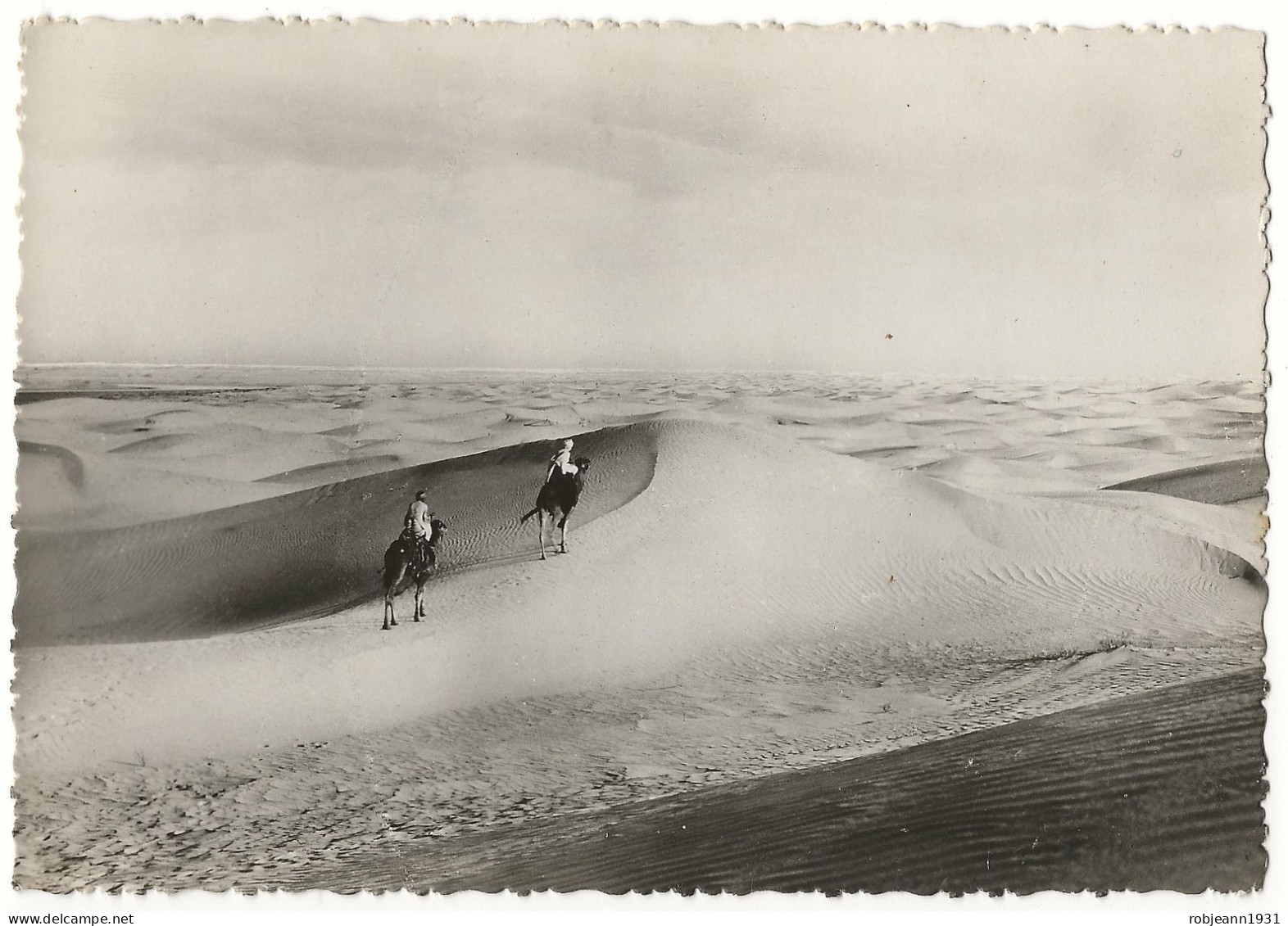 Algérie - Alger ( Collection Saharienne - La Mer De Sable - Collezioni E Lotti