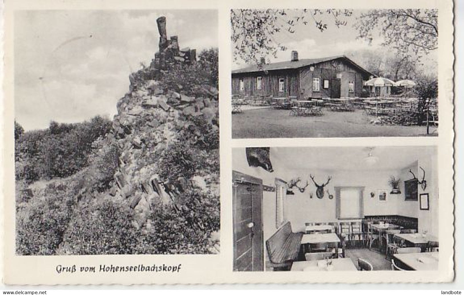 Gruß Vom Hohenseelbachskopf - Altenkirchen