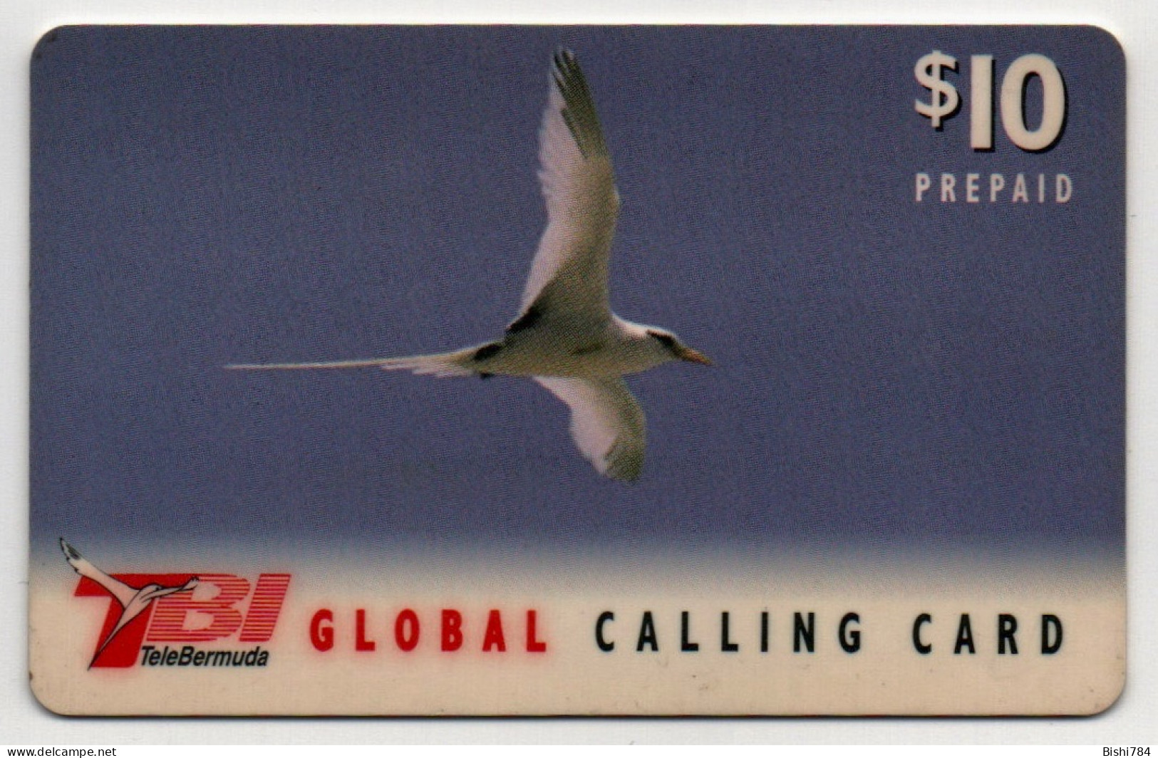 Bermuda - Seagull $10 (with RED TBI Logo) - Bermude