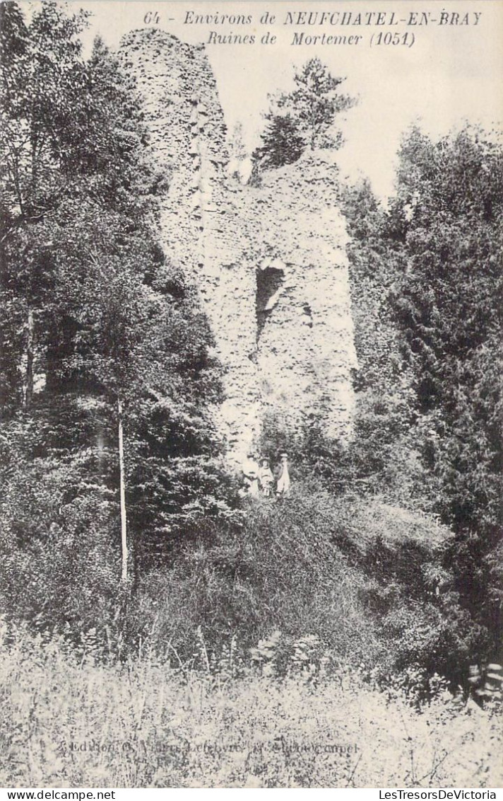 FRANCE - 76 - Environs De Neufchâtel En Bray - Ruines De Mortemer - Carte Postale Ancienne - Neufchâtel En Bray