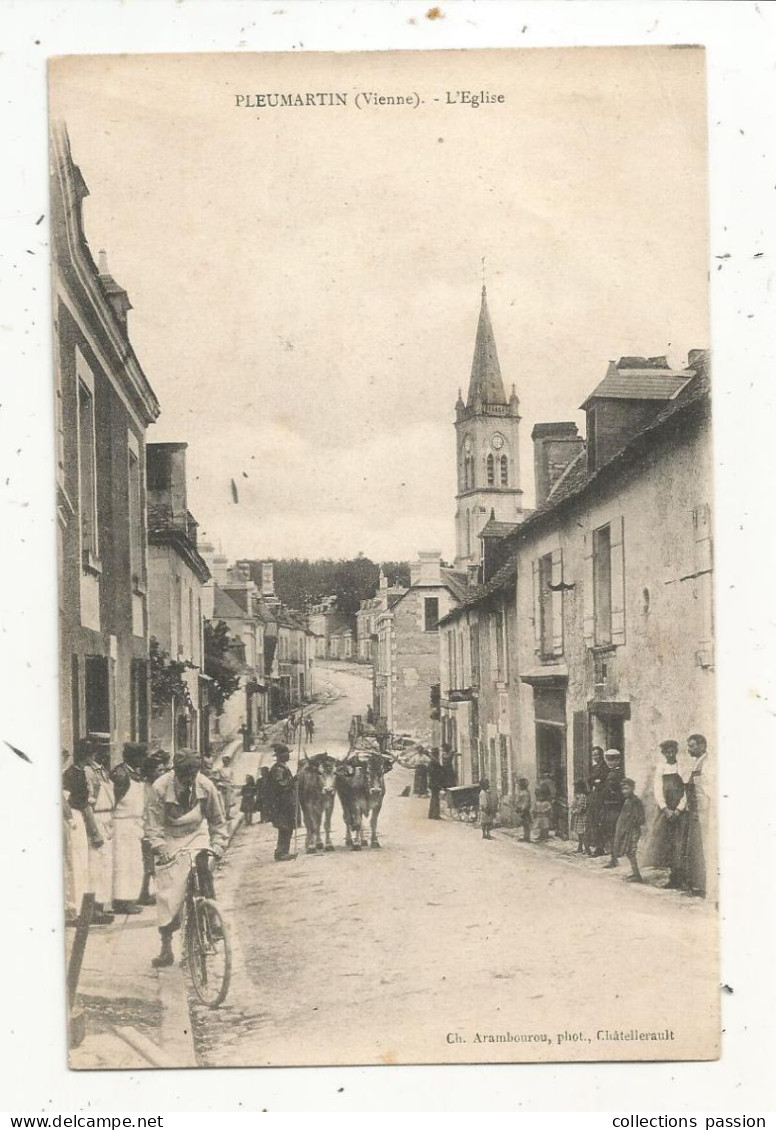 JC, Cp, 86, PLEUMARTIN, L'église , Vierge - Pleumartin