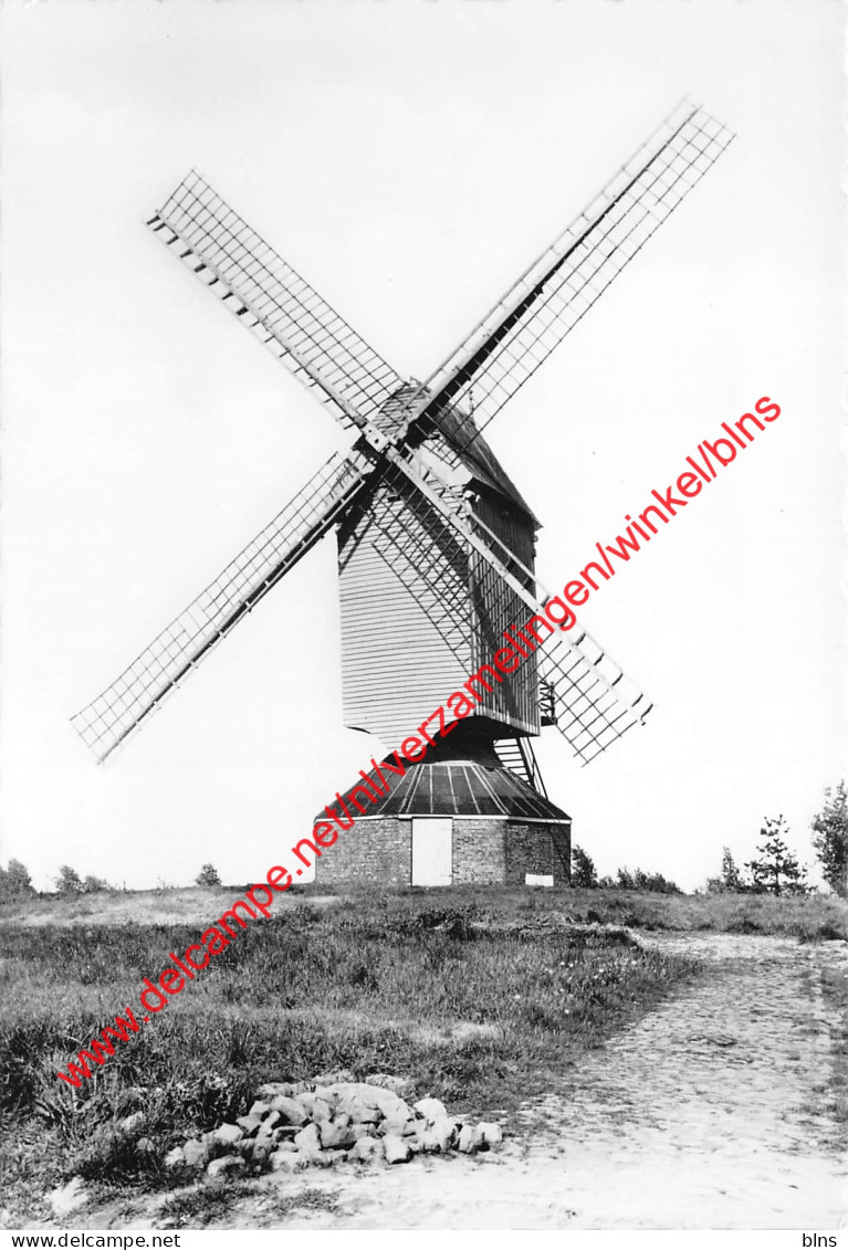 De Molen Bruggeneinde - Heist-op-den-Berg - Heist-op-den-Berg