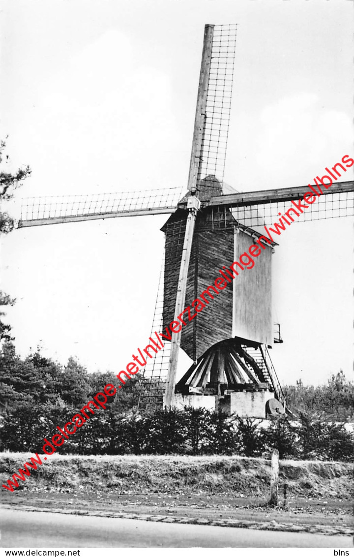 Standaard Molen - Kasterlee - Kasterlee