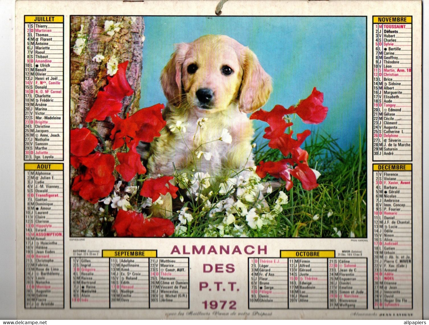 Calendrier Almanach Des P.T.T. 1972 Avec Chiot Et Chaton - Complet Région Nord De La France - Grossformat : 1971-80