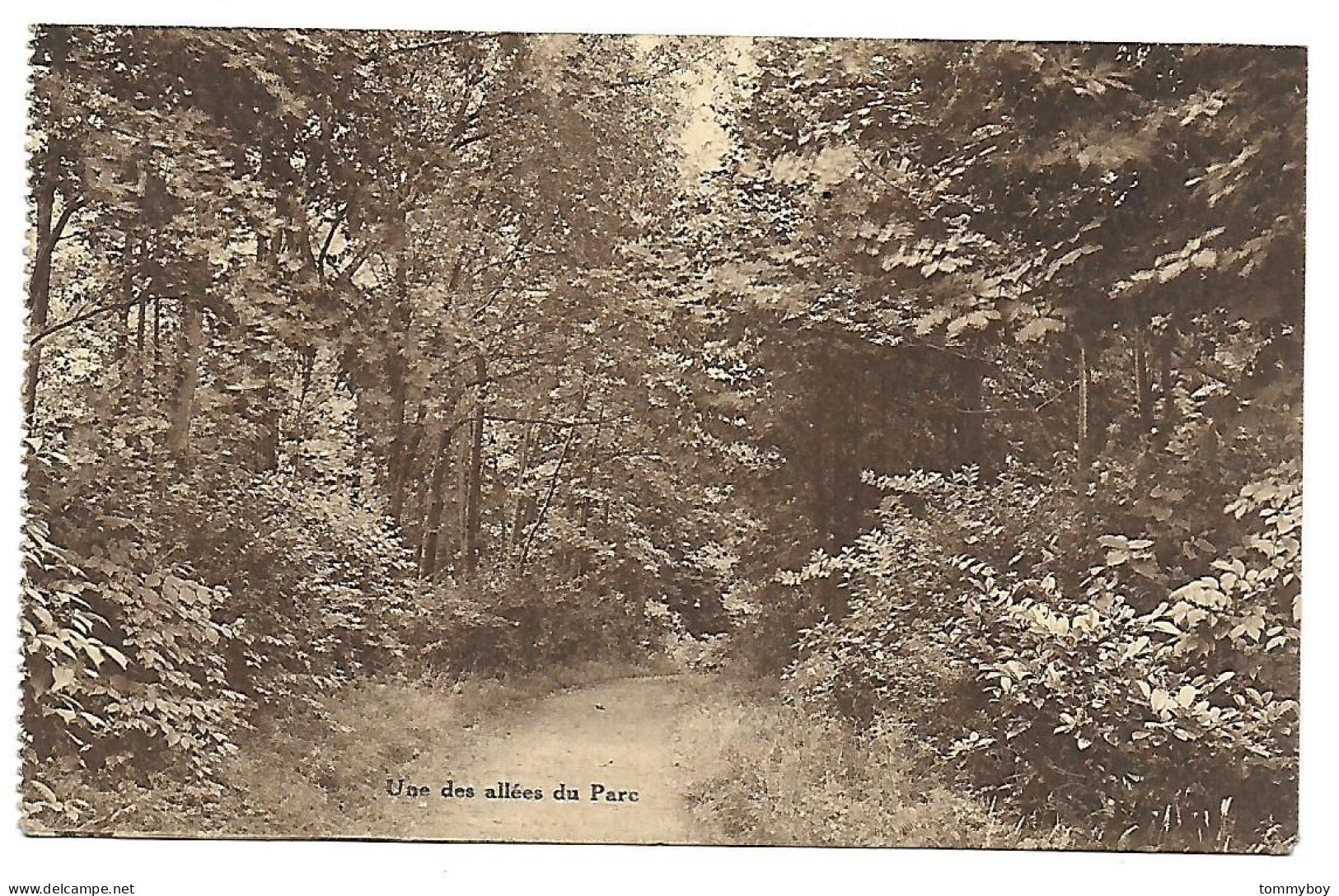 CPA St-Genesius-Rode, Une Des Allées Du Parc, Home De Repos Pour Institutrices, Petite Espinette - St-Genesius-Rode