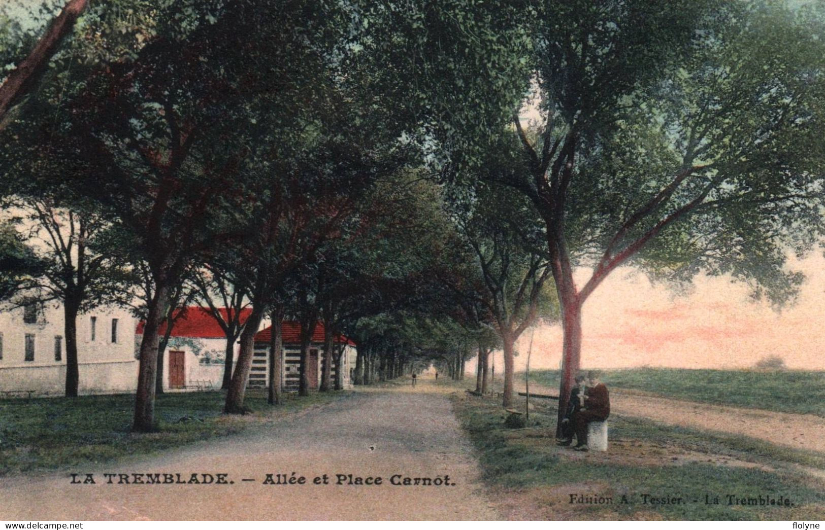 La Tremblade - Allée Et Place Carnot - Cpa Colorisée - La Tremblade