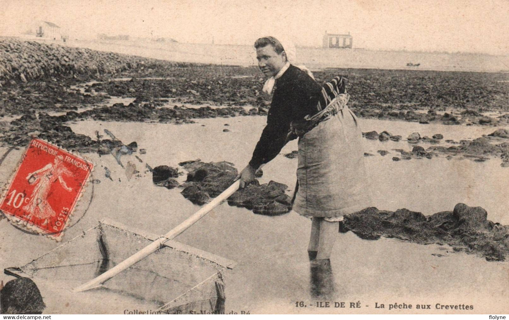 Ile De Ré - La Pêche Aux Crevettes - Pêcheuse Haveneau épuisette - Ile De Ré