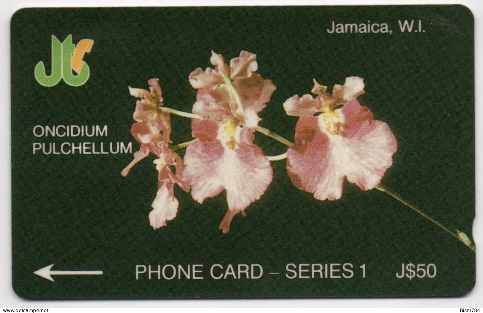 Jamaica - ONCIDIUM PULCHELLUM - 13JAMA - Jamaica