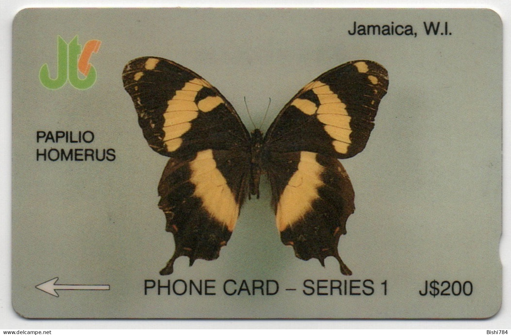 Jamaica - PAPILIO HOMERUS - 8JAMD - Jamaïque