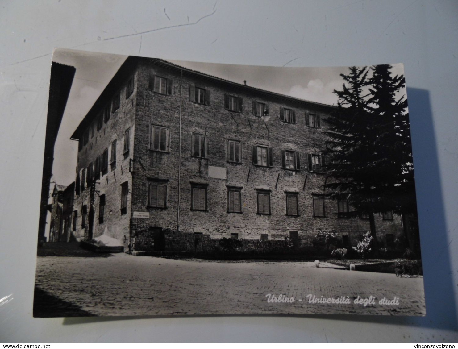 Cartolina Viaggiata "URBINO Università Degli Studi"  1954 - Senigallia
