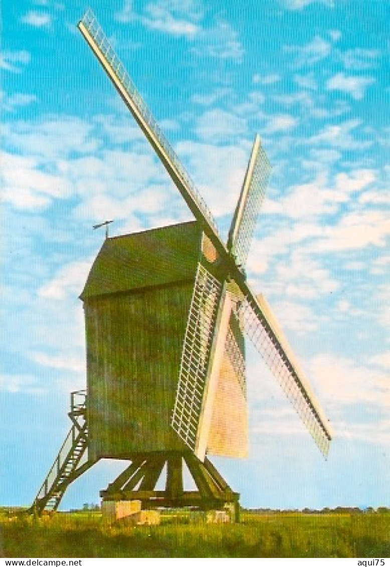 HONDSCHOOTE    Vieux Moulin Des Flandres - Hondshoote