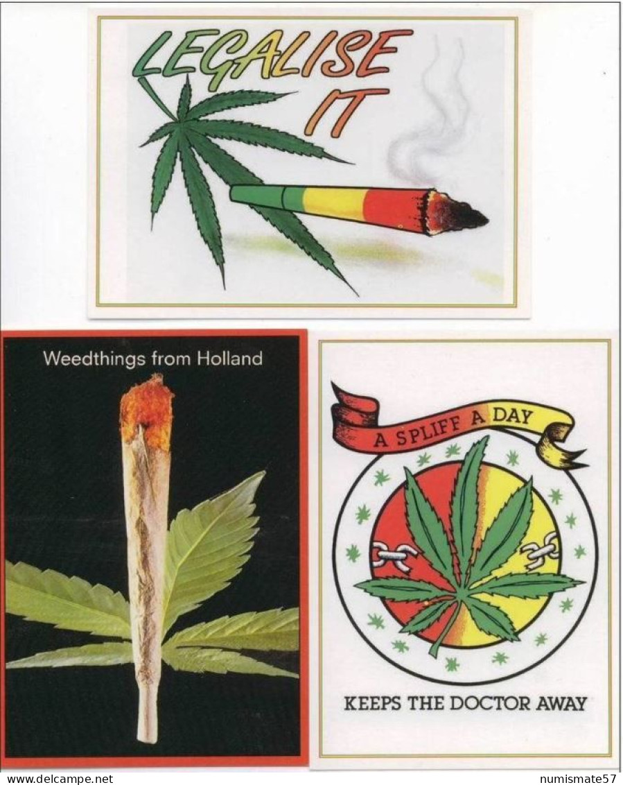 Lot De 3 Cartes Postales - Thème Cannabis - Medicinal Plants