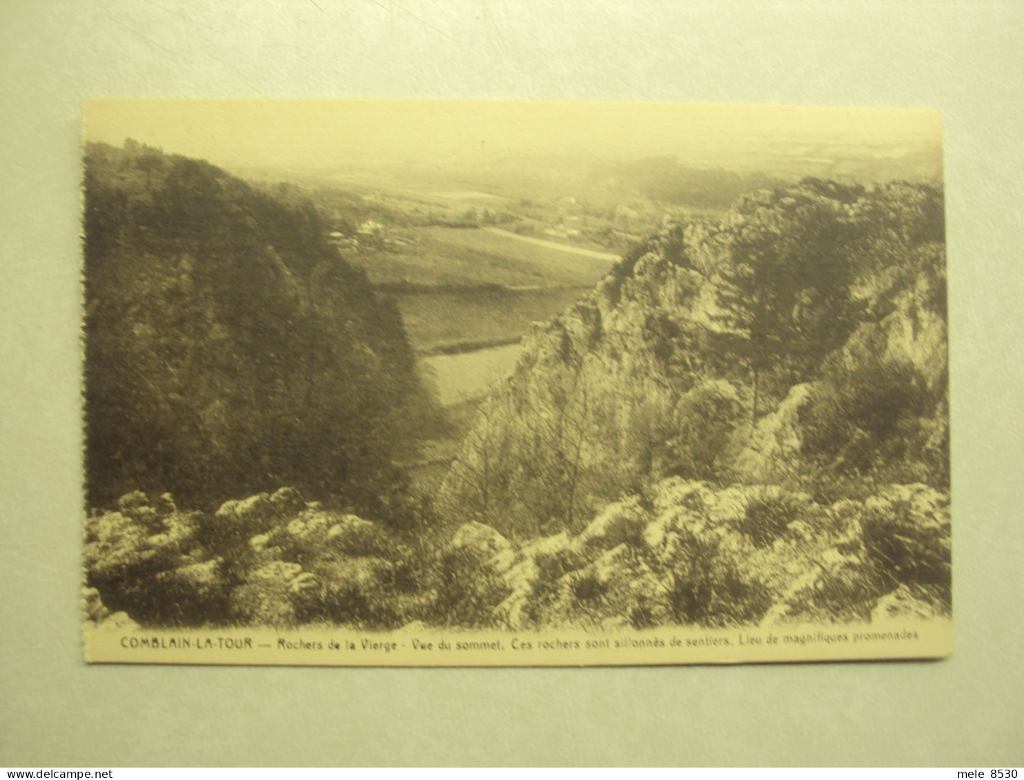 48814 - COMBLAIN-LA-TOUR - ROCHERS DE LA VIERGE - VUE DU SOMMET - ZIE 2 FOTO'S - Hamoir