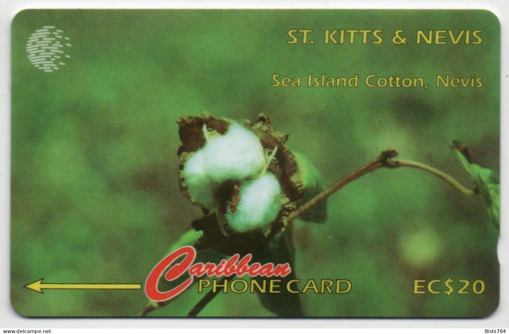 St. Kitts & Nevis - Sea Island Cotton - 77CSKA - Saint Kitts & Nevis