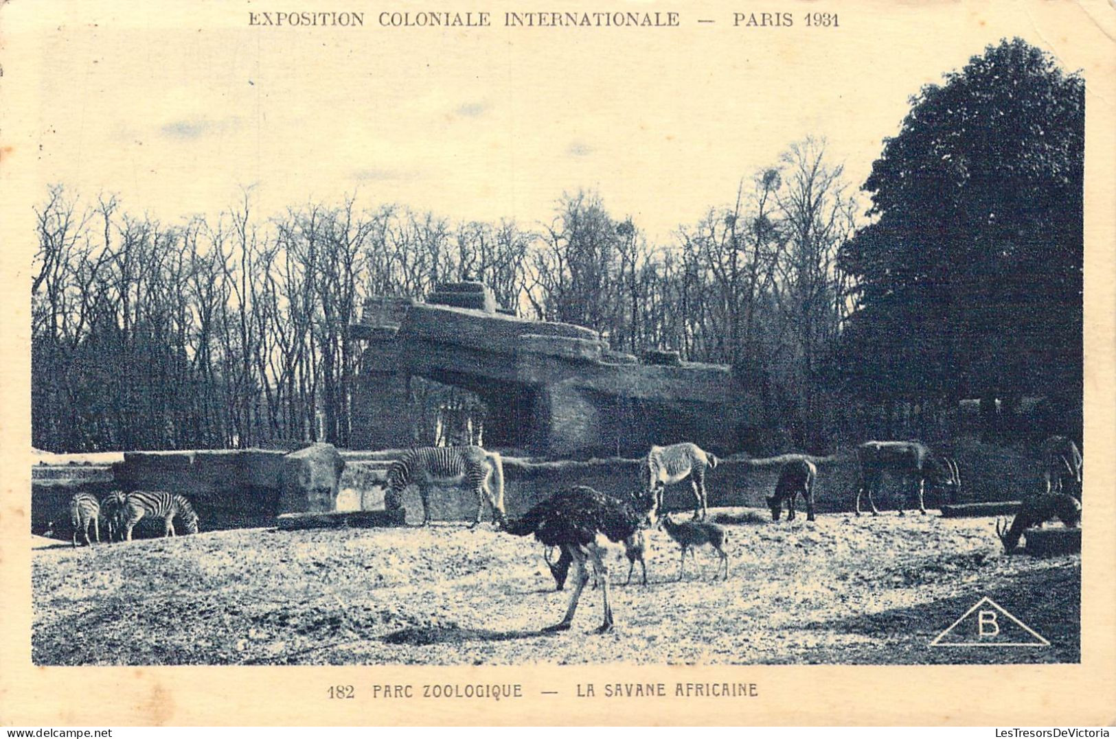 FRANCE - 75 - Paris - Exposition Coloniale Internationale - Parc Zoologique - La Savane.. - Carte Postale Ancienne - Exhibitions